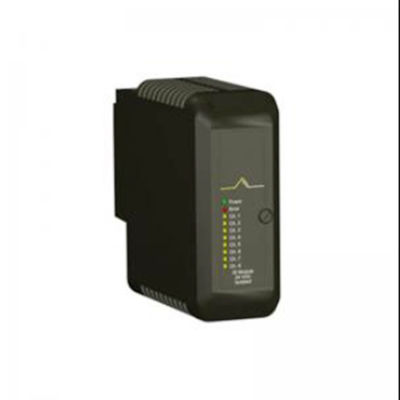 Emerson VE4003S2B1 DeltaV Standard-Input-/Outputbeendigungs-Block-Modul